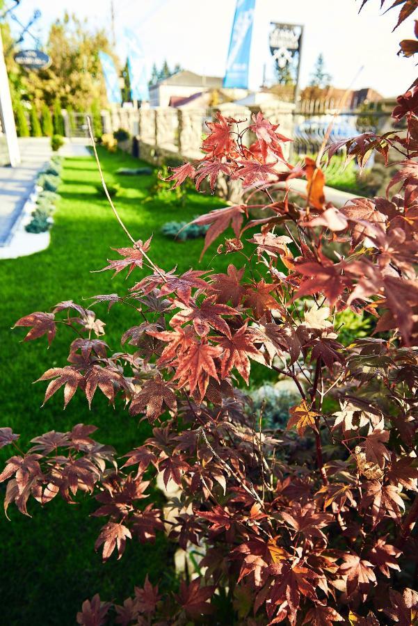 Boutique Hotel Casa Medievala Curtea de Argeş エクステリア 写真